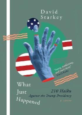 Starkey |  What Just Happened | eBook | Sack Fachmedien