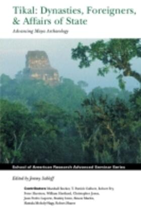  TIKAL DYNASTIES FOREIGNERS & A | Buch |  Sack Fachmedien