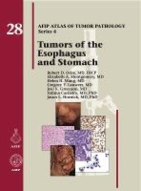 Odze |  Tumors of the Esophagus and Stomach | Buch |  Sack Fachmedien