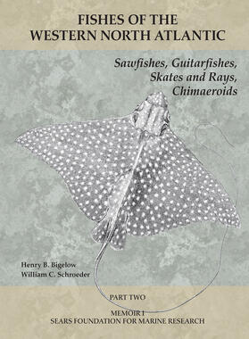 Bigelow / Schroeder |  Sawfishes, Guitarfishes, Skates and Rays, Chimaeroids | eBook | Sack Fachmedien