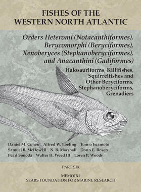  Orders Heteromi (Notacanthiformes), Berycomorphi (Beryciformes), Xenoberyces (Stephanoberyciformes), Anacanthini (Gadiformes) | eBook | Sack Fachmedien