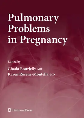 Rosene-Montella / Bourjeily |  Pulmonary Problems in Pregnancy | Buch |  Sack Fachmedien