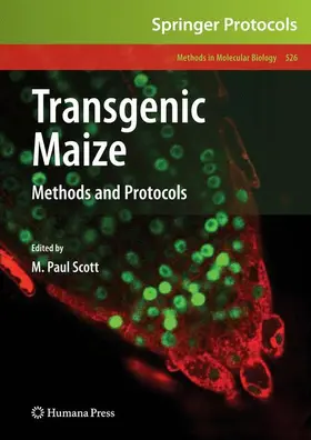 Scott |  Transgenic Maize | Buch |  Sack Fachmedien