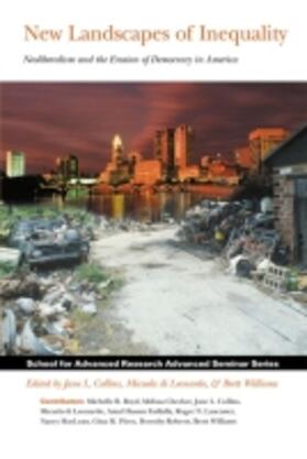  New Landscapes of Inequality | Buch |  Sack Fachmedien