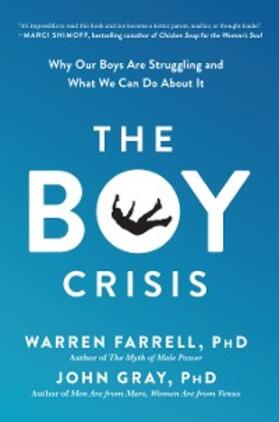 Farrell / Gray |  The Boy Crisis | eBook | Sack Fachmedien