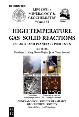 King / Fegley / Seward |  High Temperature Gas-Solid Reactions in Earth and Planetary Processes | Buch |  Sack Fachmedien