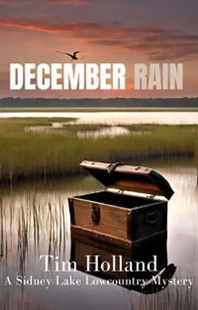 Holland |  December Rain | eBook | Sack Fachmedien