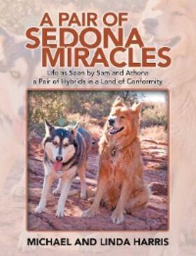 Harris |  A Pair of Sedona Miracles | eBook | Sack Fachmedien