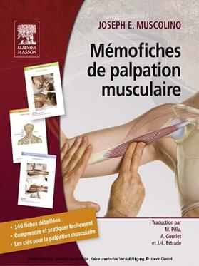 Estrade / Gouriet / Pillu |  Mémofiches de palpation musculaire | eBook | Sack Fachmedien