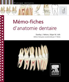 Tilotta |  Mémo-fiches d'anatomie dentaire | eBook | Sack Fachmedien