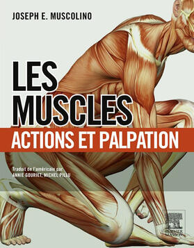 Gouriet / Pillu |  Les muscles : actions et palpation | eBook | Sack Fachmedien