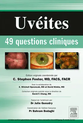 Bodaghi / Gueudry / Inc. |  Uvéites : 49 questions cliniques | eBook | Sack Fachmedien