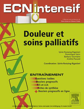 Cholet / Passard / Rostaing-Rigattieri |  Douleur et soins palliatifs | eBook | Sack Fachmedien