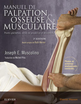 Manuel de palpation osseuse et musculaire, 2e édition | eBook | Sack Fachmedien