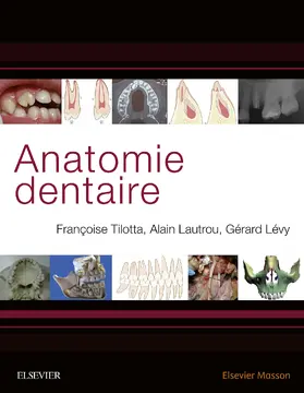 Tilotta / Lévy / Lautrou |  Anatomie dentaire | eBook | Sack Fachmedien