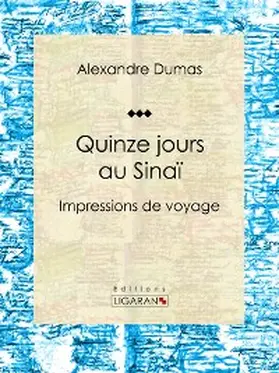 Dumas |  Quinze jours au Sinaï | eBook | Sack Fachmedien