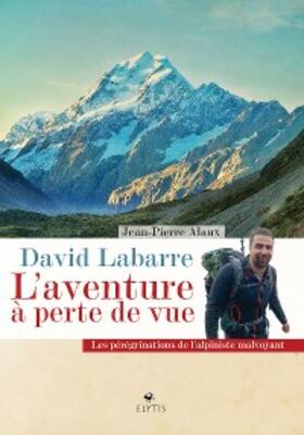 Alaux |  David Labarre - L'aventure à perte de vue | eBook | Sack Fachmedien