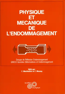 Montheillet / Moussy |  Physique et mécanique de l'endommagement | eBook | Sack Fachmedien