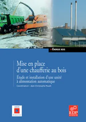 Pouet |  Mise en place d'une chaufferie au bois | eBook | Sack Fachmedien