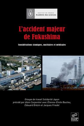 Carpentier / Beaulieu / Brézin |  L'accident majeur de Fukushima | eBook | Sack Fachmedien