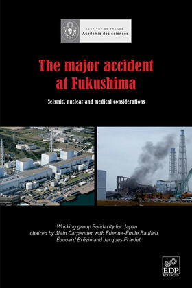 Beaulieu / Brézin / Friedel |  The Major Accident at Fukushima | Buch |  Sack Fachmedien