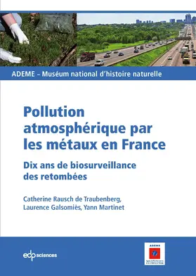 Rausch de Traubenberg / Galsomiès / Martinet |  Pollution atmosphérique par les métaux en France | eBook | Sack Fachmedien