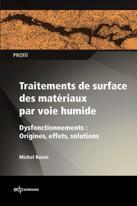 Ruimi |  Traitements de surface des matériaux par voie humide | eBook | Sack Fachmedien