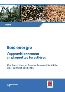 Grovel / Pasquier / Eñaut Helou |  Bois énergie | eBook | Sack Fachmedien