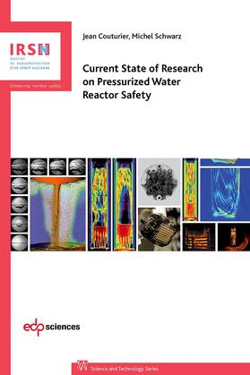 Couturier / Schwarz |  Current state of research on pressurized water reactor safety | eBook | Sack Fachmedien