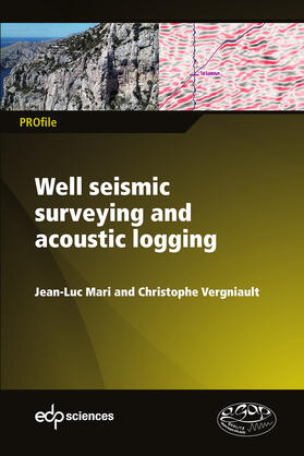 Mari / Vergniault |  Well seismic surveying and acoustic logging | eBook | Sack Fachmedien
