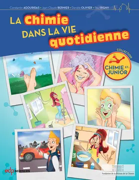 Agouridas / Bernier / Olivier |  La chimie dans la vie quotidienne | eBook | Sack Fachmedien