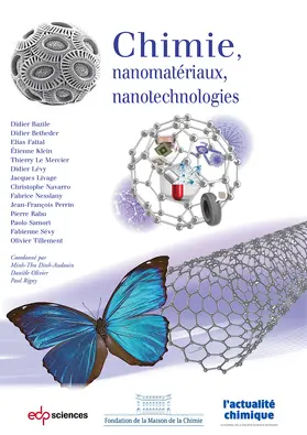 Bazile / Betbeder / Perrin |  Chimie, nanomatériaux, nanotechnologies | eBook | Sack Fachmedien