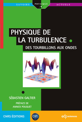 Galtier |  Physique de la turbulence | eBook | Sack Fachmedien