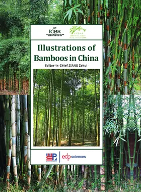  Illustrations of bamboos in China | eBook | Sack Fachmedien