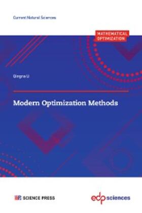 LI |  Modern Optimization Methods | eBook | Sack Fachmedien
