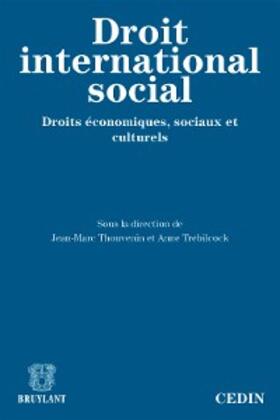 Thouvenin / Trebilcock |  Le droit international social | eBook | Sack Fachmedien