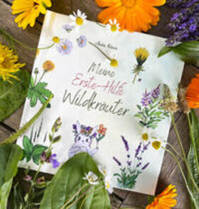 Klein |  Meine Erste-Hilfe Wildkräuter | Buch |  Sack Fachmedien