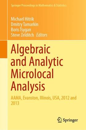 Hitrik / Tamarkin / Zelditch |  Algebraic and Analytic Microlocal Analysis | Buch |  Sack Fachmedien