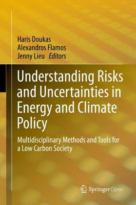 Doukas / Lieu / Flamos |  Understanding Risks and Uncertainties in Energy and Climate Policy | Buch |  Sack Fachmedien