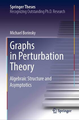 Borinsky |  Graphs in Perturbation Theory | Buch |  Sack Fachmedien