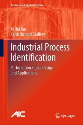 Godfrey / Tan |  Industrial Process Identification | Buch |  Sack Fachmedien