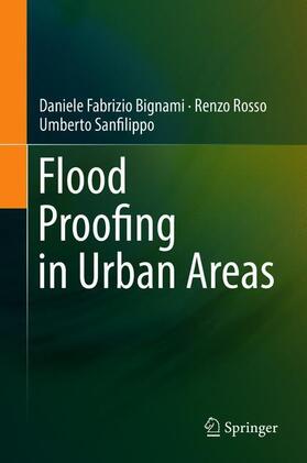 Bignami / Sanfilippo / Rosso | Flood Proofing in Urban Areas | Buch | 978-3-030-05933-0 | sack.de