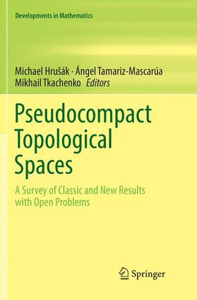 Hrušák / Tkachenko / Tamariz-Mascarúa |  Pseudocompact Topological Spaces | Buch |  Sack Fachmedien