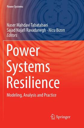 Mahdavi Tabatabaei / Bizon / Najafi Ravadanegh |  Power Systems Resilience | Buch |  Sack Fachmedien