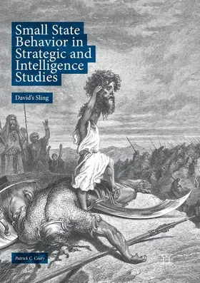 Coaty |  Small State Behavior in Strategic and Intelligence Studies | Buch |  Sack Fachmedien