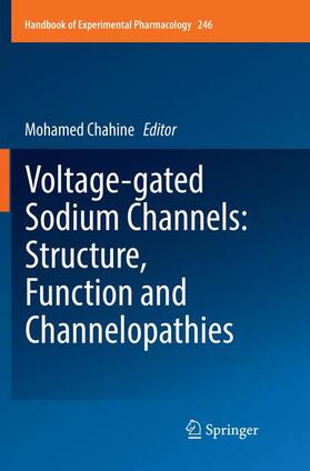 Chahine |  Voltage-gated Sodium Channels: Structure, Function and Channelopathies | Buch |  Sack Fachmedien