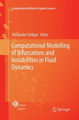 Gelfgat |  Computational Modelling of Bifurcations and Instabilities in Fluid Dynamics | Buch |  Sack Fachmedien