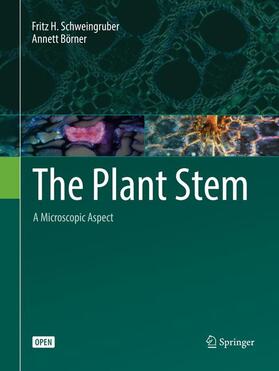 Schweingruber / Börner |  The Plant Stem | Buch |  Sack Fachmedien