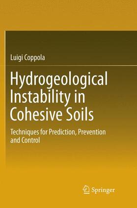 Coppola |  Hydrogeological Instability in Cohesive Soils | Buch |  Sack Fachmedien