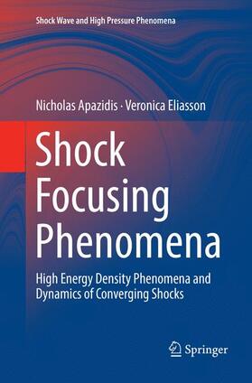 Eliasson / Apazidis |  Shock Focusing Phenomena | Buch |  Sack Fachmedien